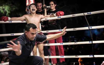 Fight Videos