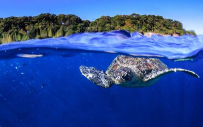 Khao Lak Diving