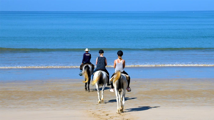 Horse Riding in Khao Lak