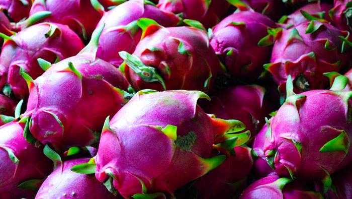 dragon fruit