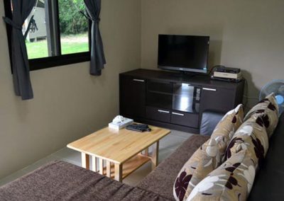 tv sofa lounge