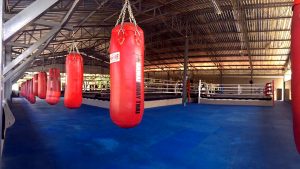 gym bags and boxing rings